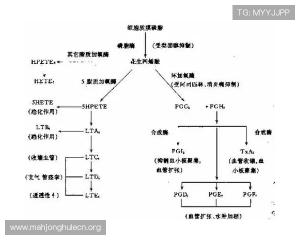 分析PG电子官方网站人口年龄层分布及其对平台内容策略的启示