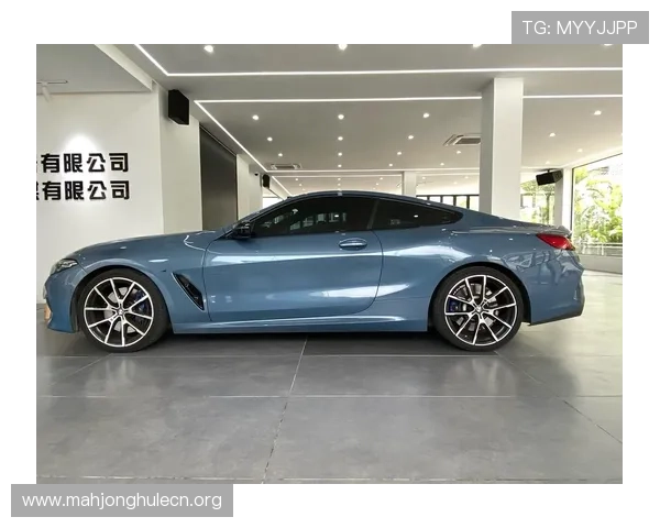 宝马线上娱乐带你领略豪华车与线上娱乐的完美结合体验